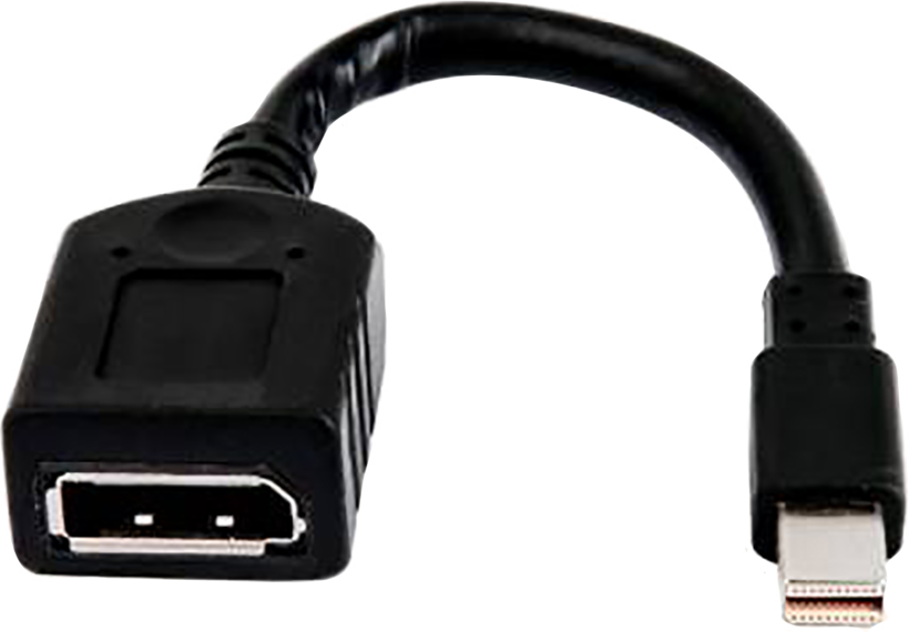 HP Mini-DP - DisplayPort Adapter