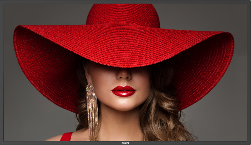 Display Philips 50BDL4650D