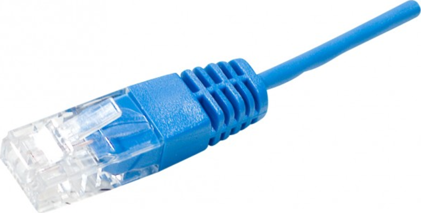 Câble téléphone RJ45 UTP bleu 5m