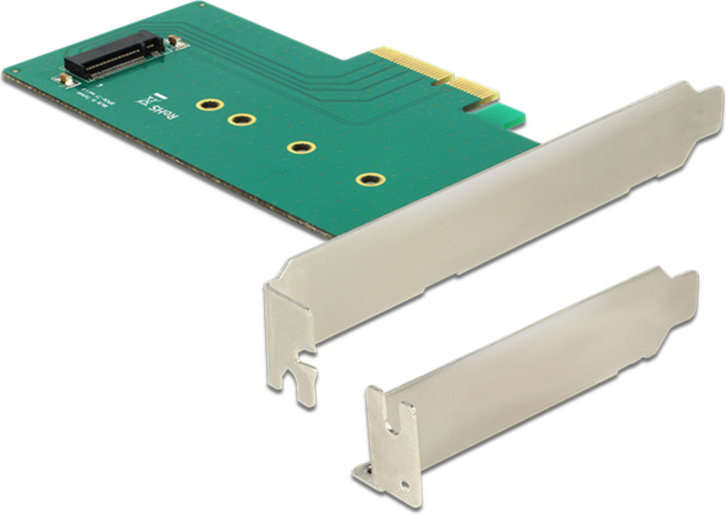 Interfaccia M.2 (NVMe) PCIe Delock