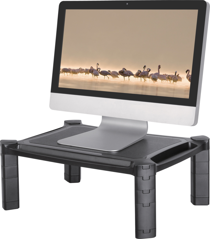 Neomounts Monitor/Notebook Riser