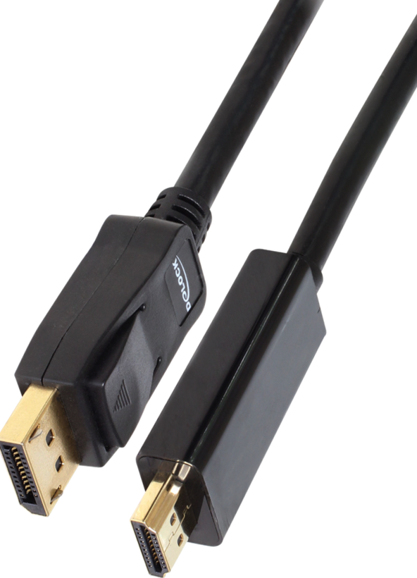 Câble Delock DisplayPort - HDMI, 1 m