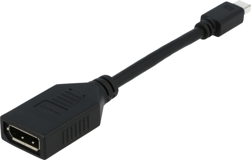 Adaptateur mini DisplayPort> DisplayPort