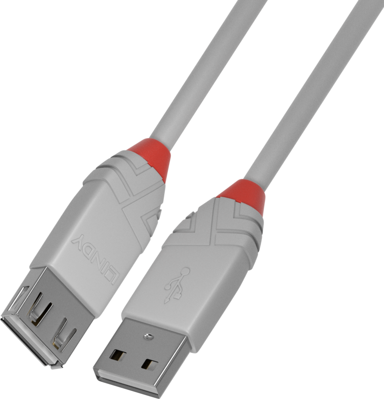 LINDY USB-A Extension 2m