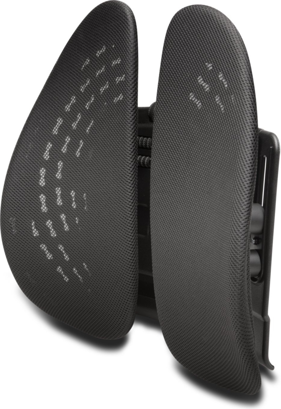 Kensington SmartFit Back Rest