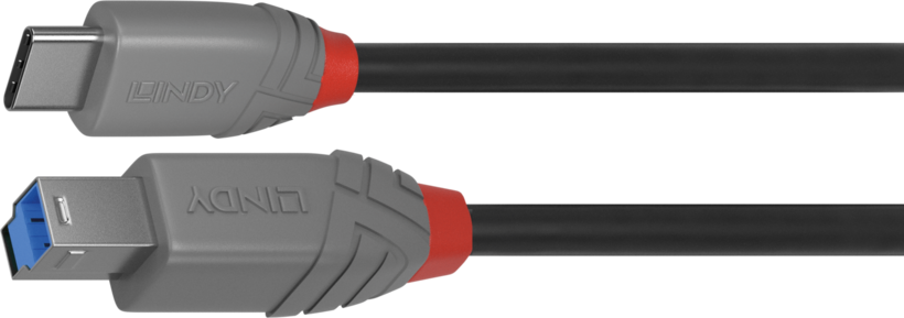 Cable LINDY USB tipo C - B 2 m