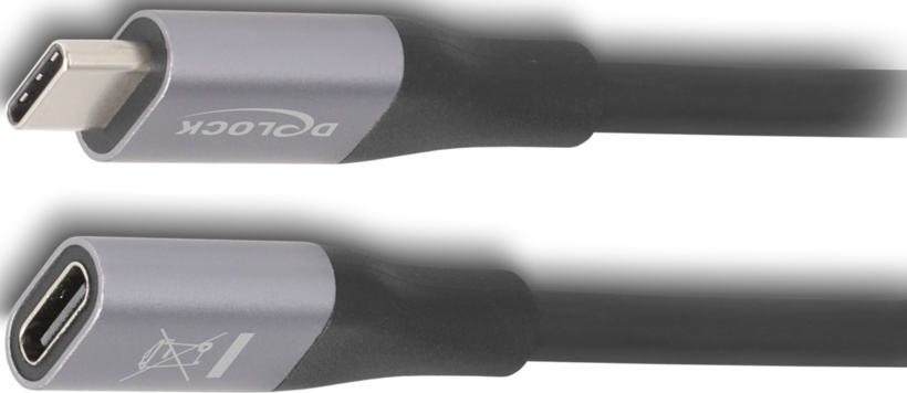 Delock USB-C Extension 1m 240W