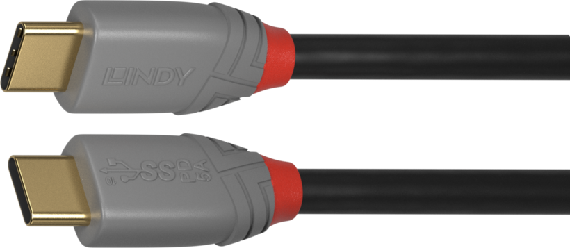 LINDY USB-C Cable 1.5m 100W