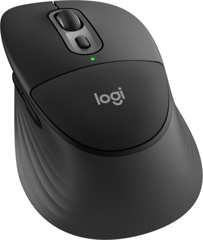Logitech M850 L graphite Maus