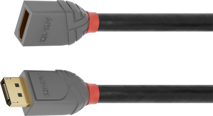 LINDY DisplayPort Extension Cable 3m