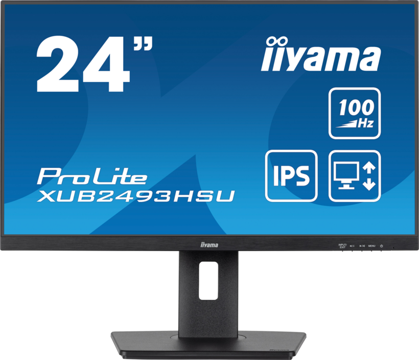 iiyama ProLite XUB2493HSU-B7 Monitor