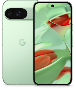 Google Pixel 9 128 Go vert amande