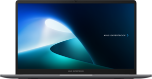 ASUS ExpertBook P1 Notebook