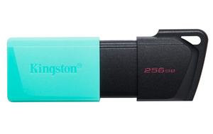 Clé USB Kingston DT Exodia M 256 Go