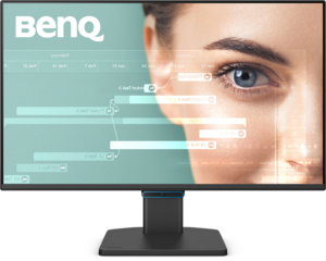 Écran BenQ BL2490C