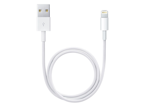 Apple Lightning - USB Cable 0.5m