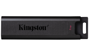 Chiavetta USB-C 1 TB Kingston DT Max