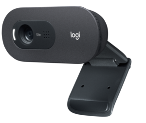 Webcam Logitech C505e HD p. entreprises