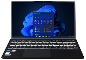 bluechip B15W57 i5 16/500GB