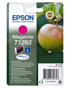 Epson T129 Ink