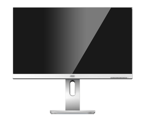 AOC X24P1/GR Monitor