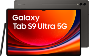 Samsung Galaxy Tab S9 Ultra 5G 256Go gra