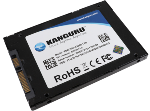Kanguru Defender SED300 SATA selbst verschlüsselnde interne SSDs