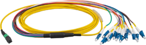 FO Patch Cable MTP/MPO/f - 12x LC/m 5m