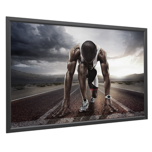Projecta 216x141cm Projection Screen
