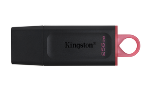 Kingston DT Exodia 256GB USB Stick