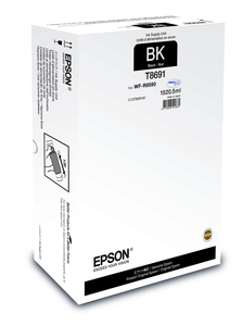Epson T869 Ink