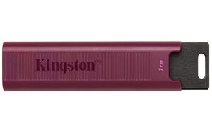 Chiavetta USB-A 1 TB Kingston DT Max