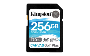 Kingston Canvas Go! Plus SD Card 256GB