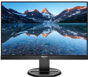 Philips 240B9 Monitor