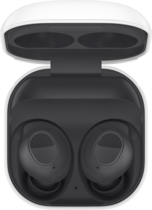 Galaxy Buds FE Graphite