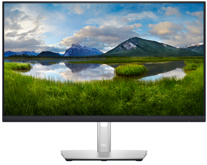 Dell Professional P2422H Monitor