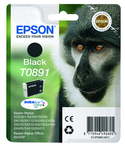Epson T0891 Ink Black