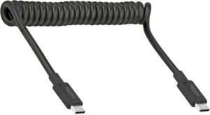 Delock USB-C Cable 0.3m