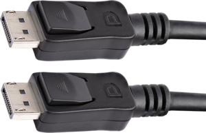 StarTech DisplayPort Cable 0.5m