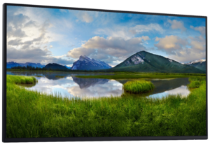 Monitor bez stojanu Dell P2725H