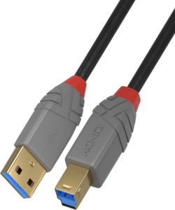 Cabo LINDY USB tipo A - B 0,5 m
