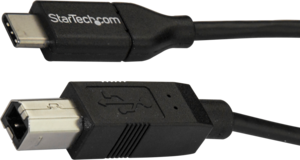StarTech USB C - B kábel 2 m