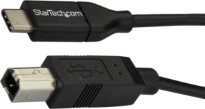 StarTech USB Typ C - B Kabel 2 m