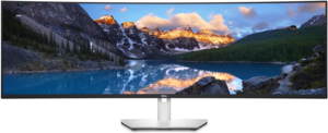 Écran incurvé Dell UltraSharp U4924DW