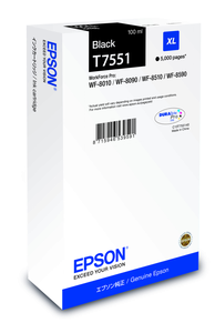 Epson T755 Ink