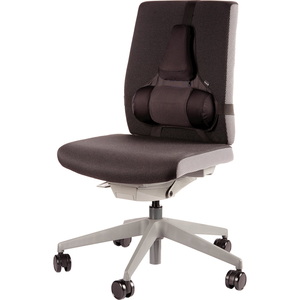 Fellowes Professional Back Support