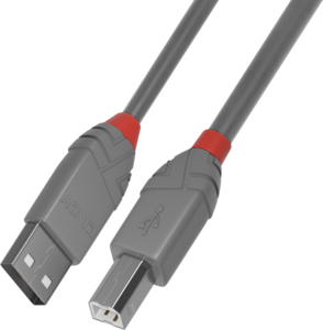 Câble USB LINDY type A - B, 2 m
