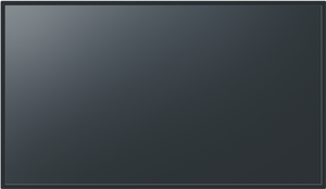 Panasonic EQ2 Display