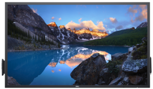 Dell P5524QT 4K Touch-Display