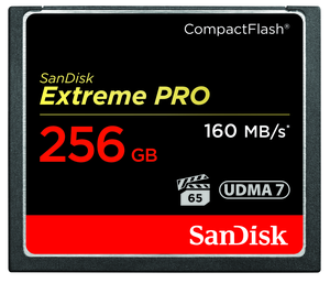 Carte CF 256 Go SanDisk Extreme Pro